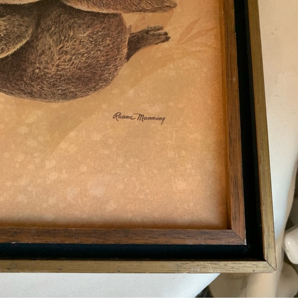 Vintage koala framed print - Picture 3 of 10